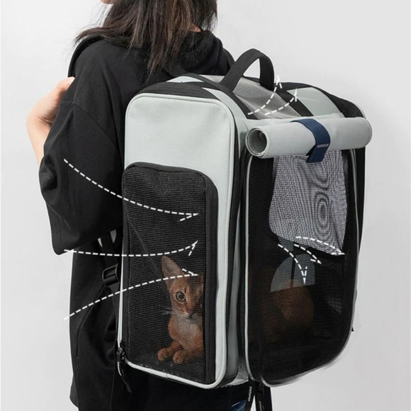 Hidream Pet Carrier - Picture 6 of 10